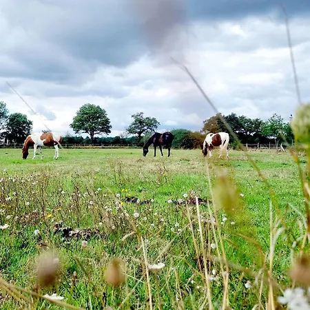 De L'archerie Classe 4 Etoiles Pour 4 Personnes, Casa de Férias *