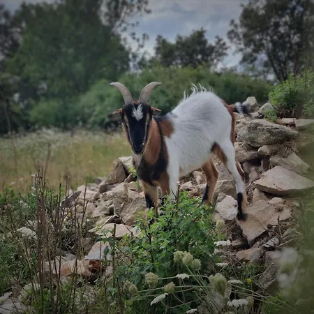 De L'archerie Classe 4 Etoiles Pour 4 Personnes, Casa de Férias