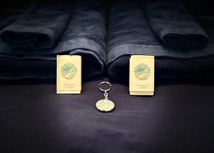 De L'archerie Classe 4 Etoiles Pour 4 Personnes, Saint-Leger-de-Linieres