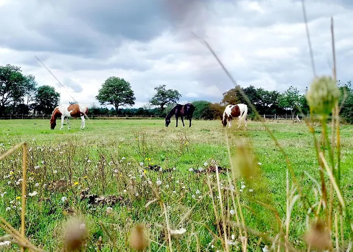 De L'archerie Classe 4 Etoiles Pour 4 Personnes, 別荘 *