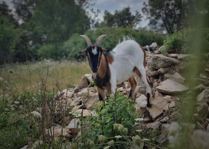 De L'archerie Classe 4 Etoiles Pour 4 Personnes, 別荘